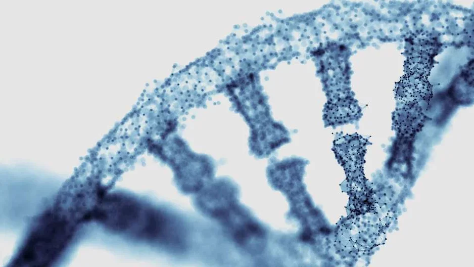 A computer rendering of a double helix