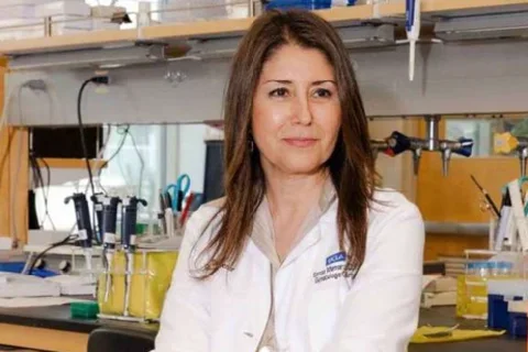 Sanaz Memarazadeh headshot