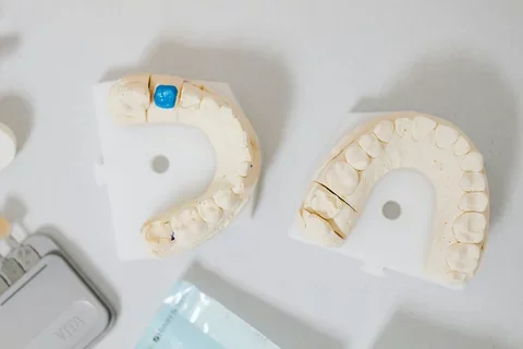 Dental teeth cast models on table