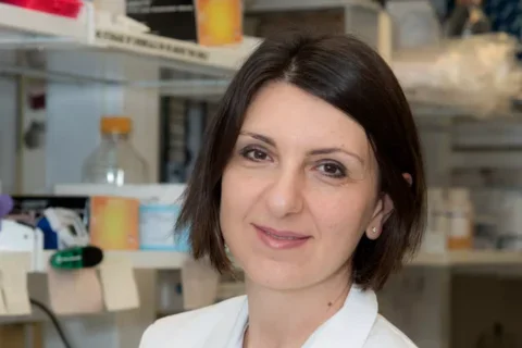 Eirini Papapetrou, MD, PhD headshot