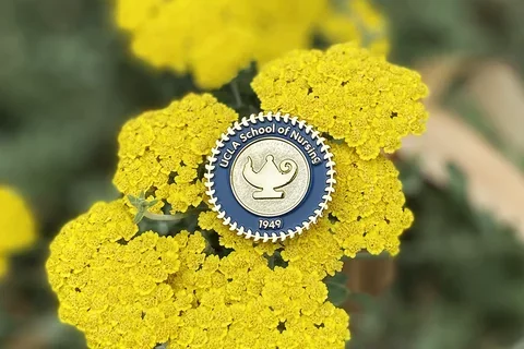 The UCLA School of Nursing pin