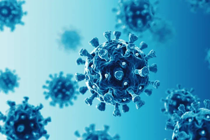 Infection Control
