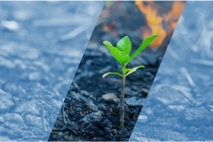 CTSI / David Geffen School of Medicine at UCLA Wildfire Response Pilot Award