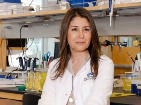 Sanaz Memarazadeh headshot