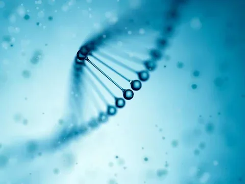 DNA