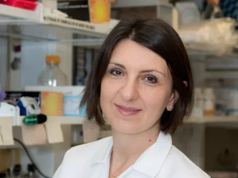 Eirini Papapetrou, MD, PhD headshot