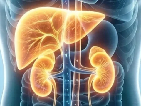 Kidney Liver Connection